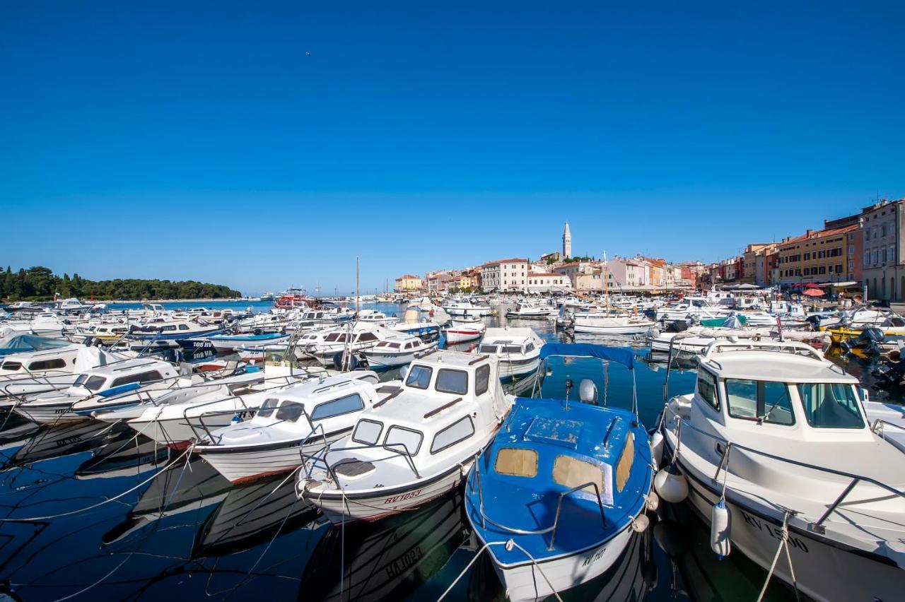 Otto Apartment With Sea View And Parking Rovinj Eksteriør billede